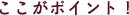 ここがポイント